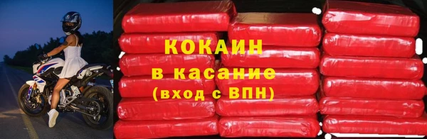 кокс Арсеньев