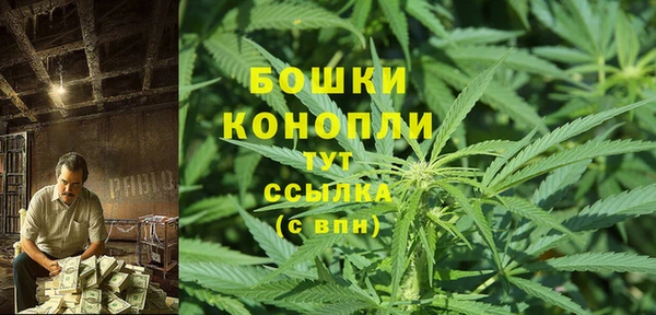 кокс Арсеньев