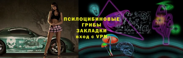 кокс Арсеньев