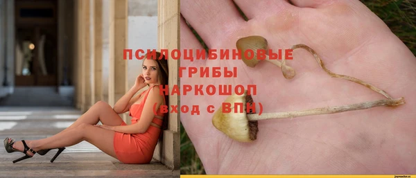 кокс Арсеньев