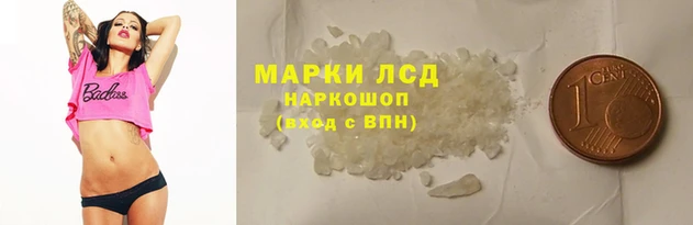 мяу мяу мука Аркадак