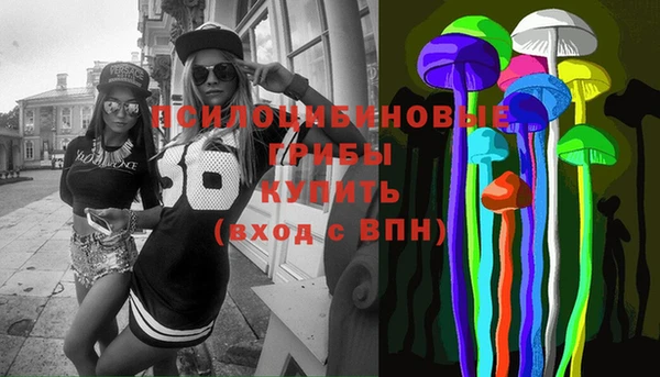 мяу мяу мука Аркадак